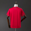Portugal Retrô Home 2010