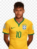 Brasil Retrô home 2014